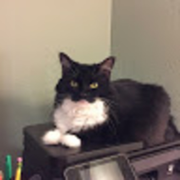 Meet your Posher, Pamala - Picture 1 of 1